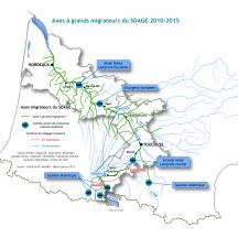 Carte localisation des grands migrateurs