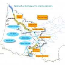 Carte migrateurs - Habitat contrainte