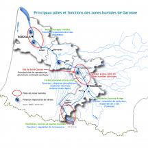 Interrelations des zones humides alluviales